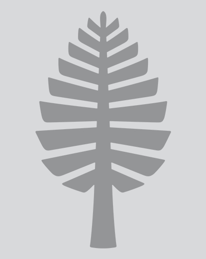 Missing photo Dpine Logo